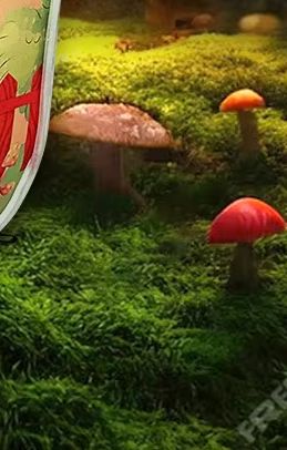 Çocuk Çadırları Bebek Oyun Ala - Kids Outdoor Play Tent incelemesi ve fiyatı